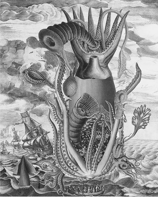 "Cephalogod" Scott Bluedorn